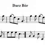 Darz Bór